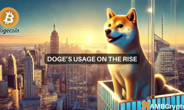 Dogecoins rising usage 1000x600