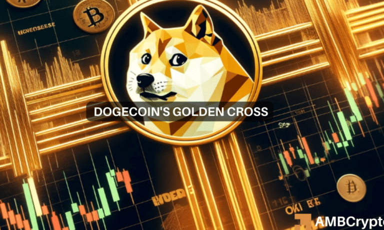 Erastus DOGE 1000x600