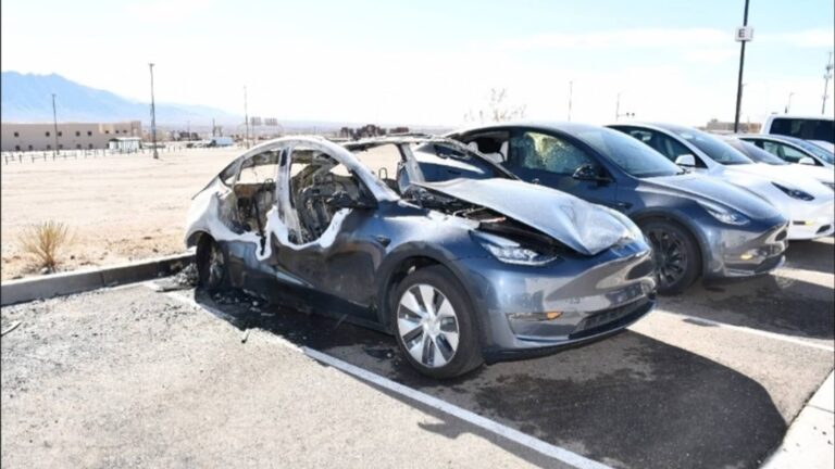 108131665 1744655513487 tesla3 1